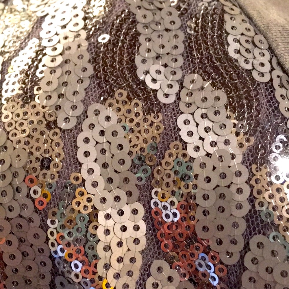 Kische Silver Gray Sequined Tank Top Size Small - Picture 2 of 8